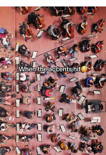 #musiciansoftiktok #classicalmusic #orchestra #stravinsky | rite of spring