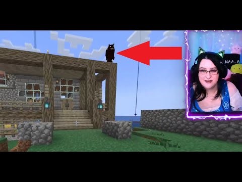 There's a werewolf on the roof : All The Mods Arcana #4 Live Stream Archive