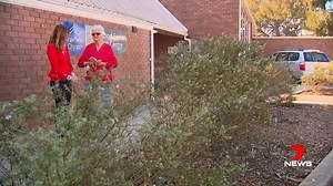 10K views · 25 reactions | Millions of dollars in government grants are up for grabs for local community projects voted by the public through the My Community Project program. Hundreds of hopeful groups have already applied - with no ask too small. www.7NEWS.com.au #7NEWS | 7NEWS Sydney | Facebook