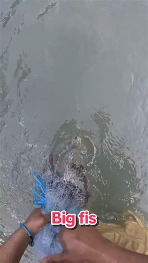 Catch Big Fish with Expert Cast Net Techniques