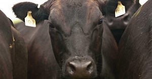 Mineral Consumption: It Matters!