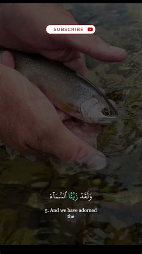 beautiful Quran Recitation - Surah Al Mulk #Quran
