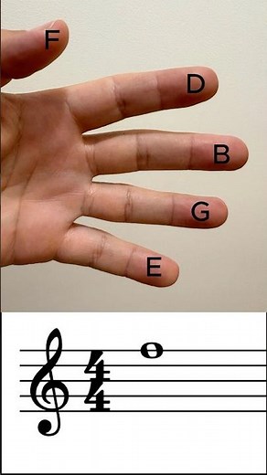 Treble Clef Hack 🎵 | Learn Lines & Spaces with Your Hand #Shorts