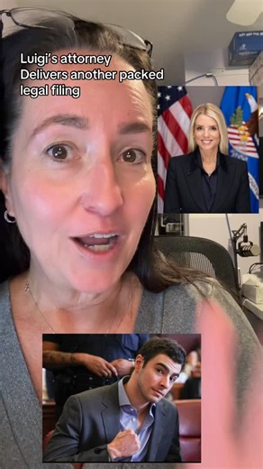 Tatsngin - Stories Uncovered on Instagram: "Luigi’s attorney delivered a Michelin Star level of legal analysis. 👀👀 #luigi #newyork #truecrime #law #evidence"