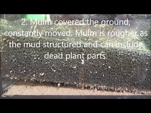 Hamburger MattenFilter | Formation of Filter Mud | HMF