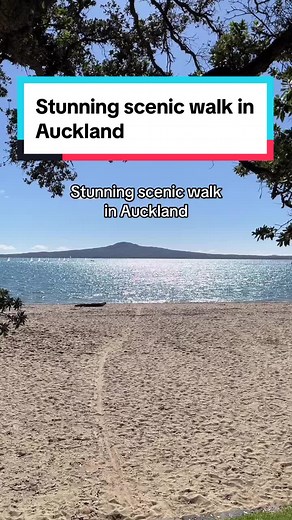St Heliers to Mission Bay Path: Spectacular Views, Relaxing Walk | Auckland