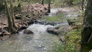 Davis Falls is located in the community of Montevallo, Alabama. It lies about 1/4 mile off of Pebble Road. This waterfall was once open to the public as a maintained picnic area. It is currently closed to public access. There are three waterfalls located on this creek. | Aerial Adventures