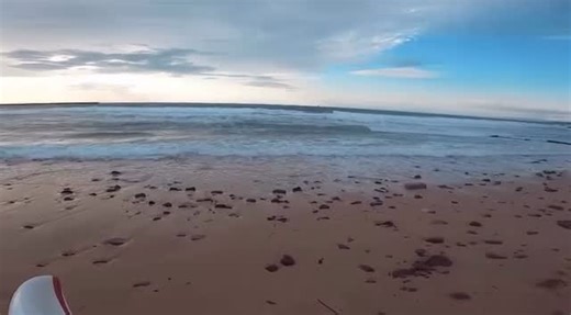 @_joeywalker making Mornington Beach look really good! Riding his Lumberjack DOS. | Trigger Bros Surf Skate Snow