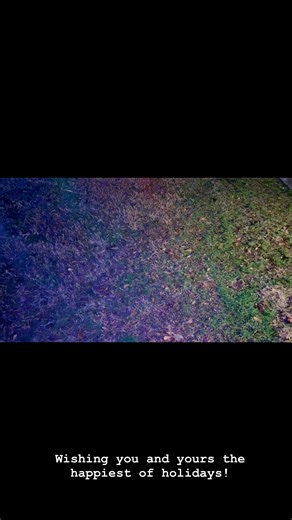 A stroll through the amazing Wilshire Wonderland of lights and wishing all of Gainesville the spirit and joy of the holidays! #ExploreGainesvillega | Explore Gainesville