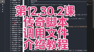 第12.30.2课传奇调用脚本文件介绍教程_哔哩哔哩_bilibili