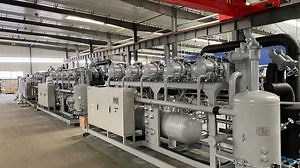 [Hot Item] 200HP Screw Compressor Air-Cooled Condensing Unit Prices