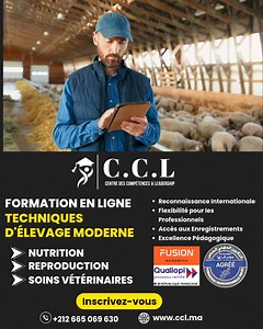 2.1K reactions · 145 shares | Perfectionnez vos compétences en...