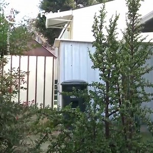 8.4K views · 77 reactions | His owner never came home 梁 | Go Fetch | Facebook