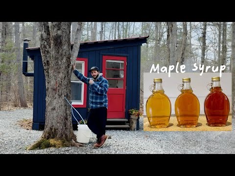 Making MAPLE SYRUP at Home | A Family Tradition Worth Slowing Down For