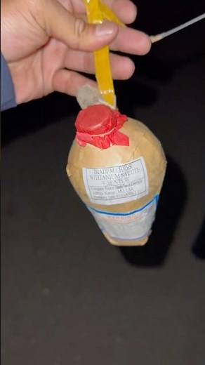 3 inch coconut display shell salute an color #firework