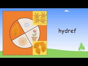 Autumn and Winter in Welsh | Beginner Welsh Lessons | the Seasons 2