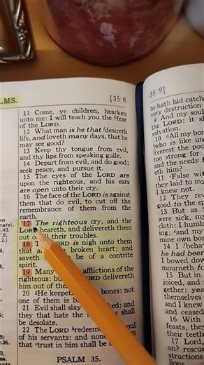 Psalm 34:17–19 | The LORD Is Near | Bible Reading KJV 🤍