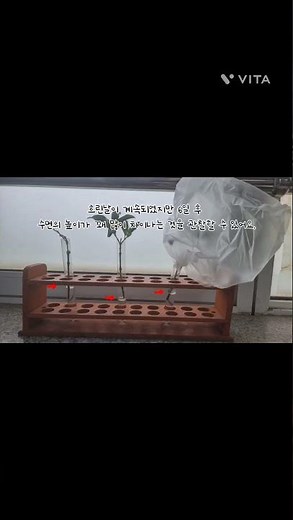 증산작용 실험