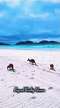 “Earth’s Hidden Fantasy Worlds” AUSTRALIA