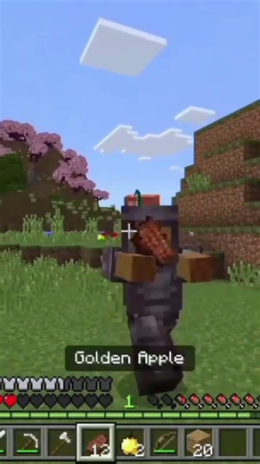 hate this game bruh #minecraft #zombie