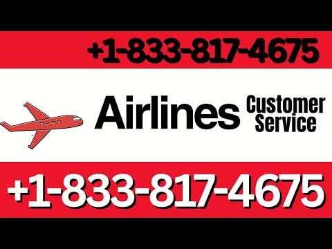 How to Contact American Airlines Customer Service | Your Complete Help Guide