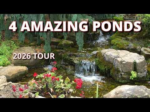 Backyard Pond Ideas | Tour 4 Beautiful Midwest Water Gardens (2026)