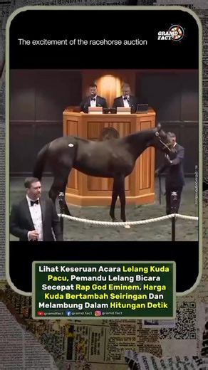 Gramd Fact | Yearling horse auctions are prestigious events where one-year-old horses, primarily bred for racing, are sold to the highest bidder through... | Instagram