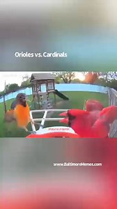 380K views · 6.6K reactions | What a battle!! ⚾️  | Baltimore Memes | Facebook