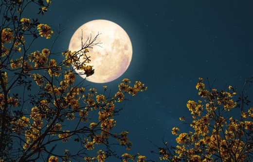 October supermoon to shine as the biggest and brightest of 2025, first in a string of 3