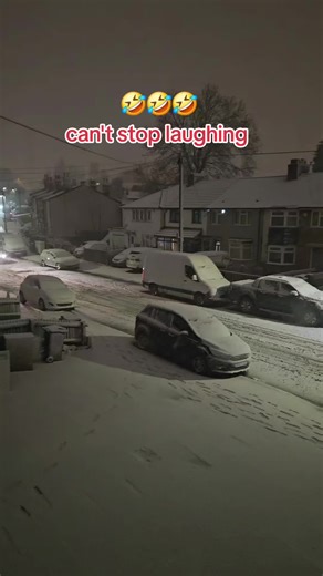 Birmingham Snowfall: A Hilarious Video Experience