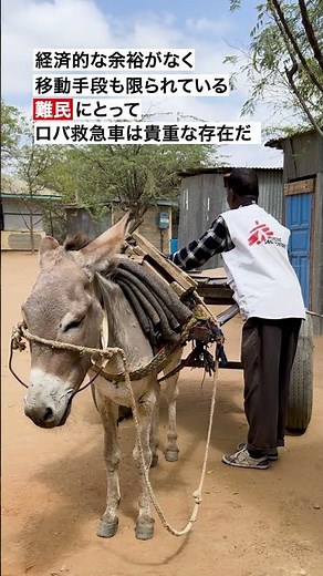 ケニア：難民の命をつなぐロバの救急車【国境なき医師団】