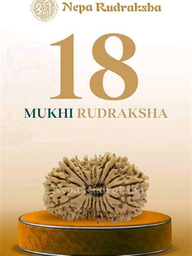 18 Mukhi Rudraksha is among the rarest and most spiritually powerful beads found in Nepal. Known as the Gayatri Rudraksha, it carries the energy of Bhumi Devi, the Shakti of Mother Earth. This bead supports grounding, stability, and inner balance by strengthening the root chakra. It is deeply connected with Mangal or Mars, also called Bhumi Putra, the son of Earth. Because of this bond, 18 Mukhi Rudraksha is traditionally worn to harmonize Mars energy and neutralize Mangal dosha. For those seeki