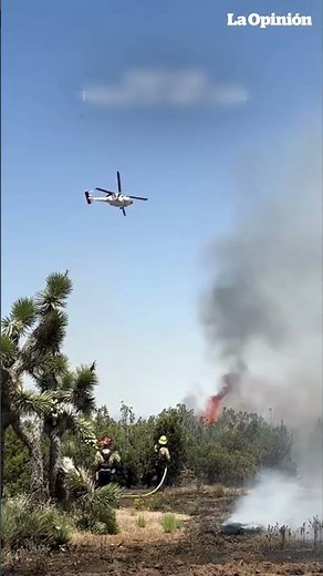 'Demonios de ceniza' sorprenden durante el incendio de Trinity en California" / La Opinión