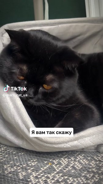 Їсти це моє хоббі 😊