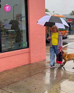 188K views · 1.9K reactions | Experience the emotional connection between a dog and its homeless owner as the pup takes action to provide food, demonstrating that love knows no bounds!  | Fabiosa Animated | Facebook