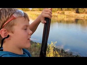 Stevens model 512 20 gauge OU shotgun review