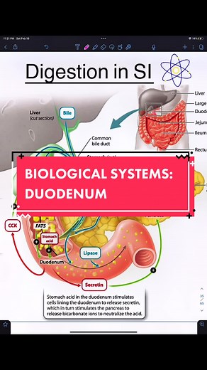 academyofintelligence on TikTok