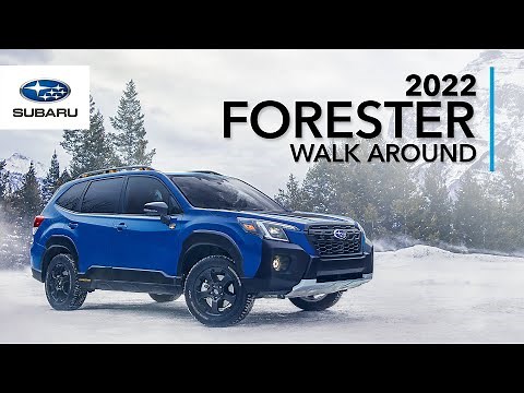2022 Subaru Forester and Forester Wilderness Walk Around – Always ready for adventure