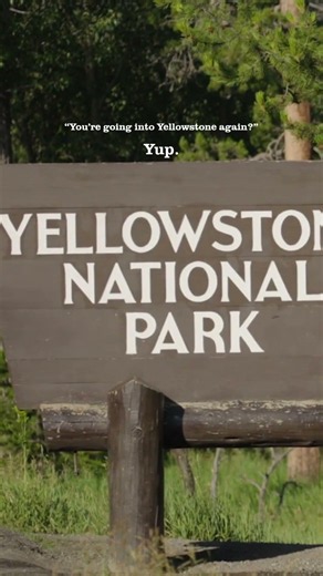You're going into Yellowstone National Park again?
