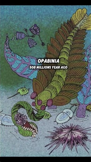 4 extremely strange extinct animals #prehistoric #extinctanimals #dinosaurs