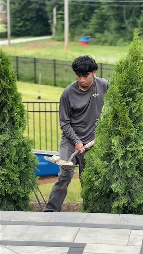 Every detail counts — border, plants, and rock to finish off this new paver patio installation.
