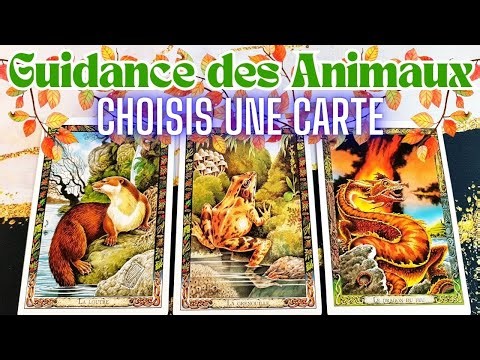 🐻🐨🐹 GUIDANCE DES ANIMAUX 🐹🐨🐻~ Ce que vous devez entendre 👂 ~ INTEMPOREL ~ 3 CHOIX