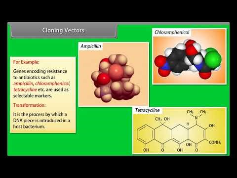 CBSE XII Biology Lecture-2 biodiversity