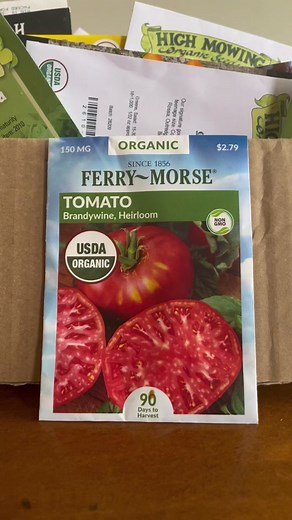 Heirloom tomatoes are so delicious, but they can be more challenging to grow than a modern hybrid tomato. So let’s graft an heirloom onto one of the most vigorous and disease resistant rootstock tomatos on the market. Does grafting help a tomato produce more? Follow along and lets find out. #garden #gardening #tomato #tomatoes #tomatografting #grafting #plantgrafting #gardentip #gardentips #gardenhack #gardenhack #gardendiy #diygarden #growyourownfood #gardentutorial