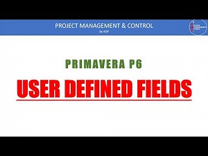 User Defined Fields in Primavera