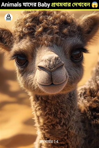 Animals that children will see for the first time 😱😱 এমন পশু যাদের বাচ্চা প্রথমবার দেখবে