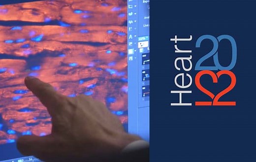 Helping the heart heal itself: The science of regeneration | Discovery | Heart | UT Southwestern Medical Center