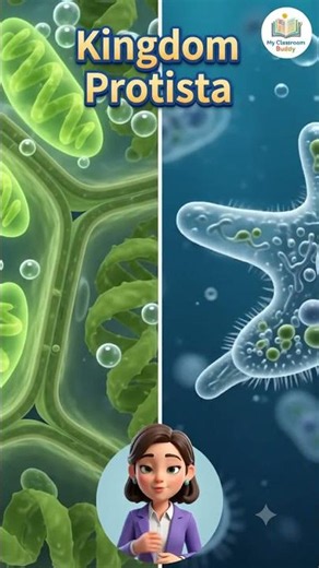Kingdom Protista: The "Junk Drawer" of Biology Explained! 🧬