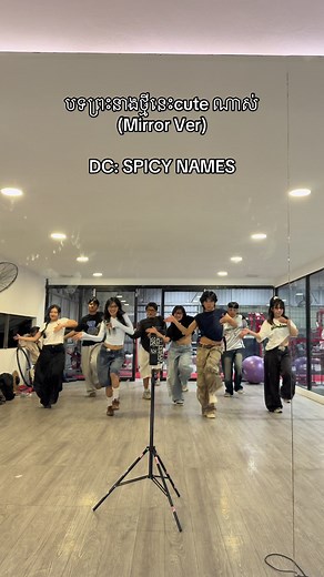 Cute Mirror Version of Spicy Names by Jenna Norodom