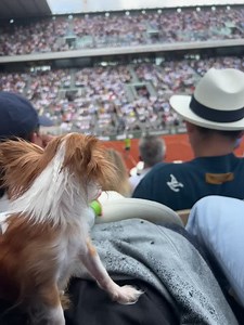 142K views · 244 reactions | Demi Moore on Reels | Facebook